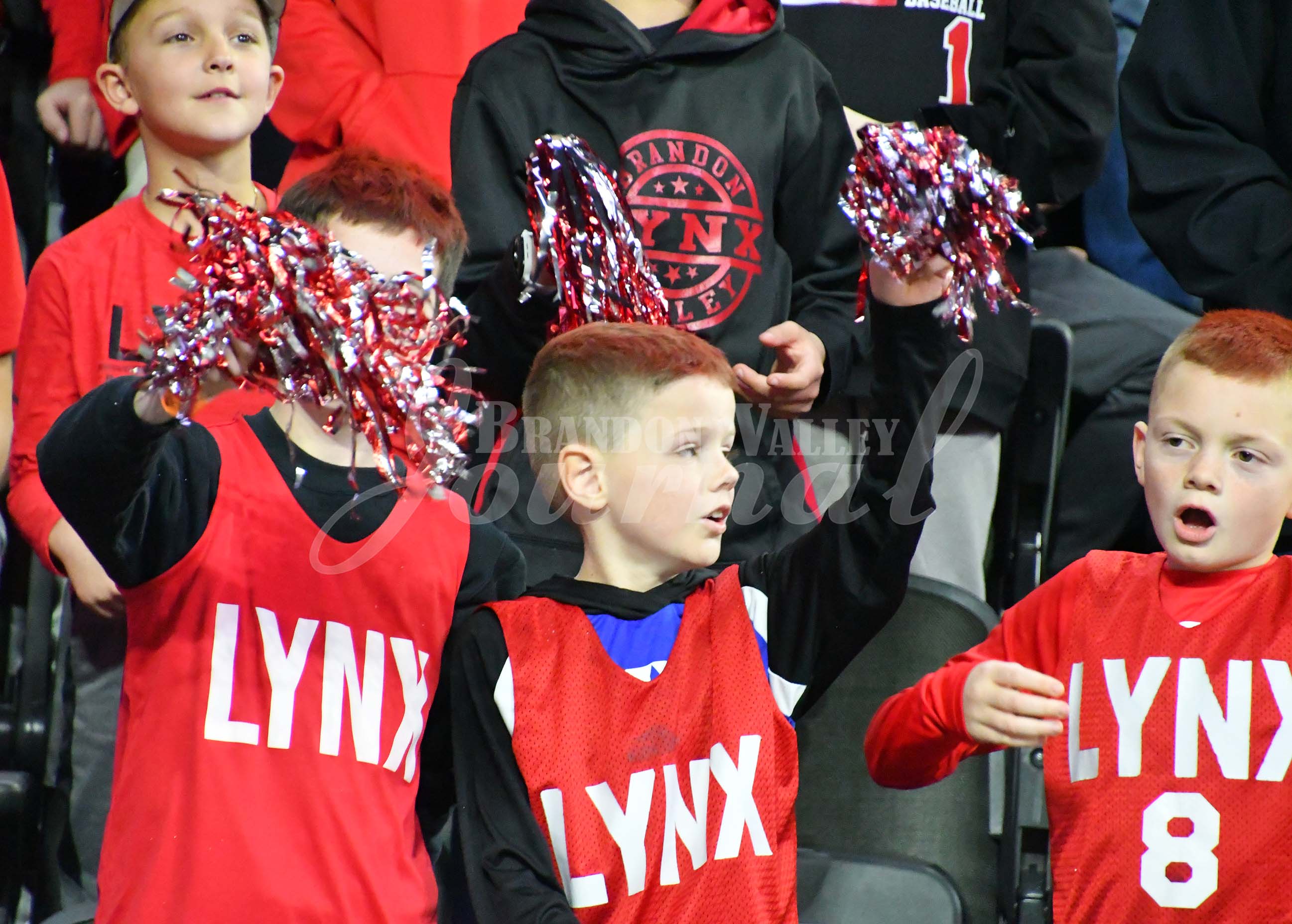 State boys BB Championship vs Mitchell A | Brandon Valley Journal