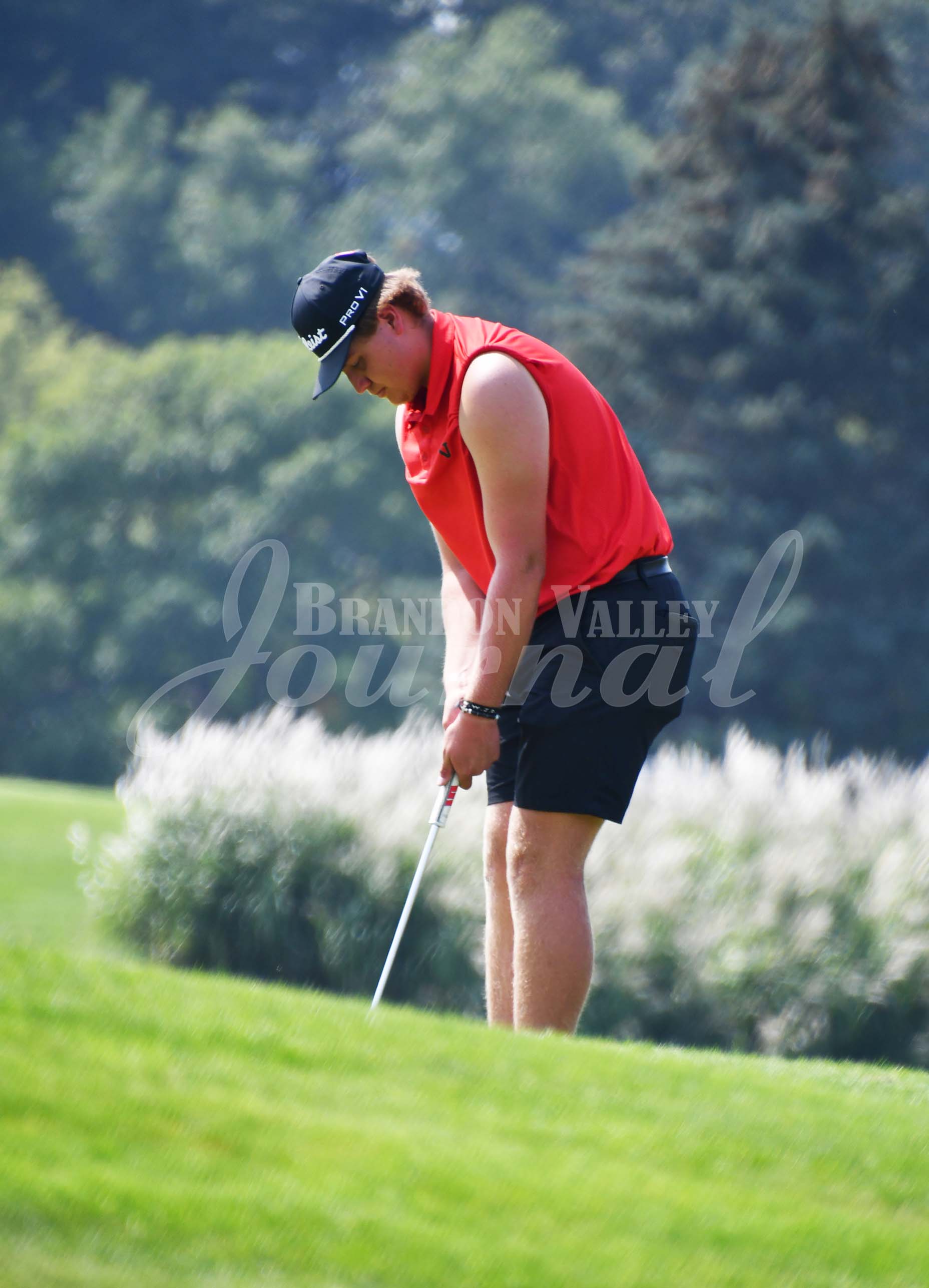 Boys Golf - Lynx Invite | Brandon Valley Journal