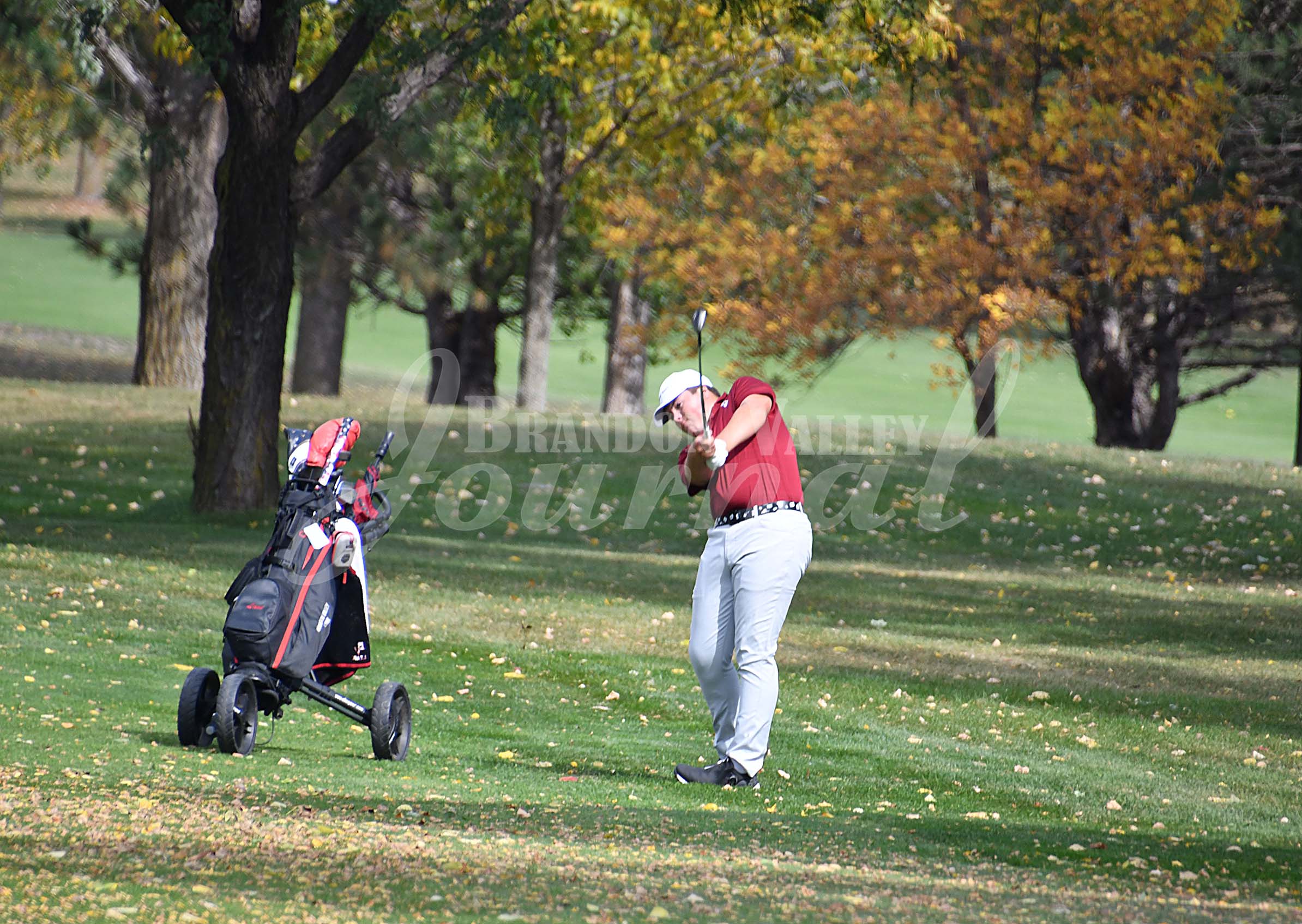 State Boys Golf | Brandon Valley Journal