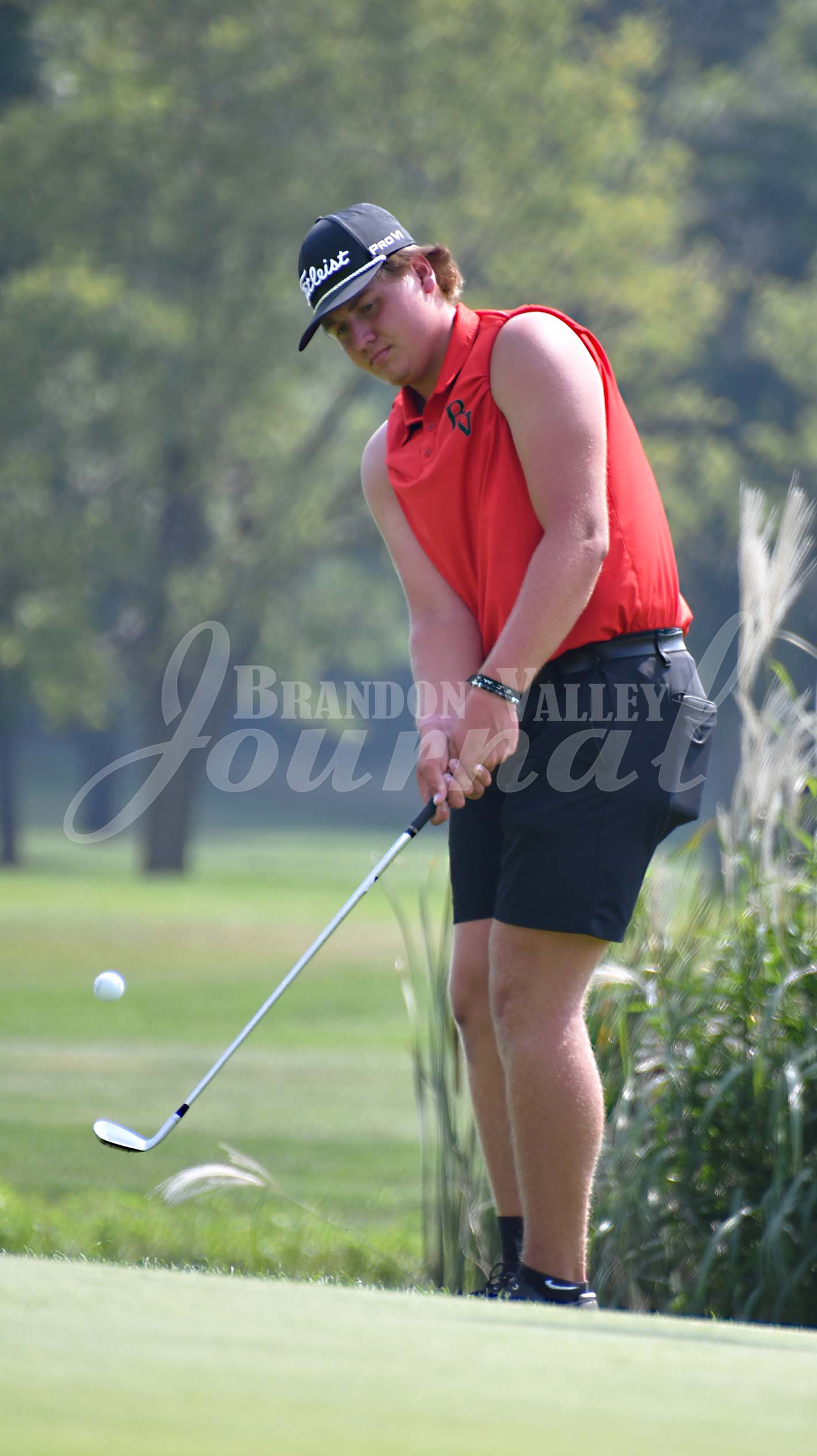 Boys Golf - Lynx Invite | Brandon Valley Journal