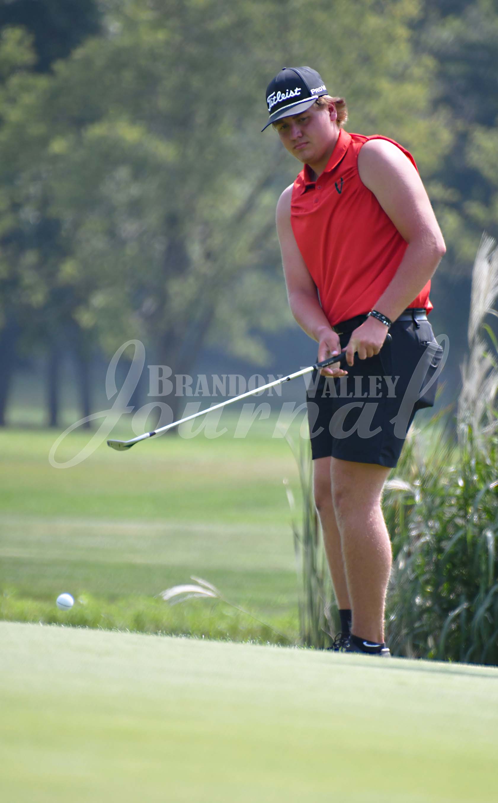 Boys Golf - Lynx Invite | Brandon Valley Journal